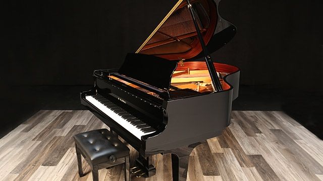 <span>2024</span> Kawai GX-2