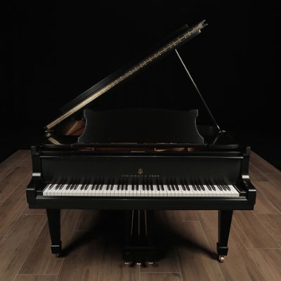 Steinway pianos for sale: 1955 Steinway Hamburg B - $58,000