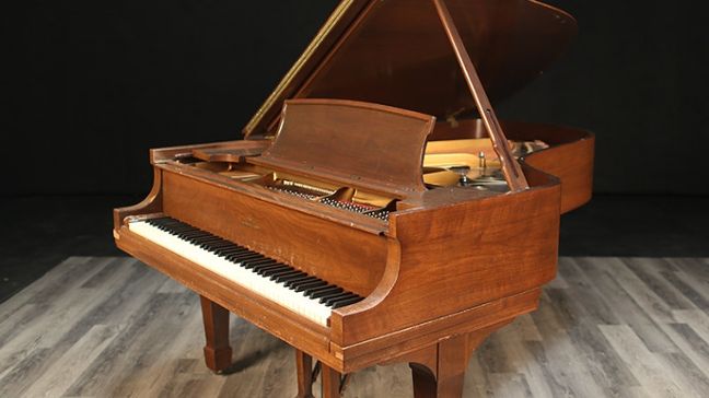 <span>1976</span> Steinway B