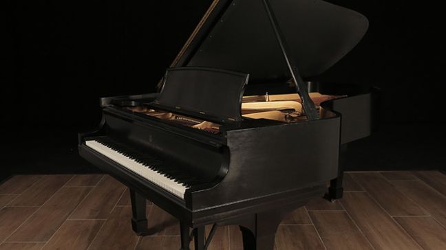 <span>1977</span> Steinway B