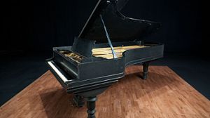 Steinway pianos for sale: 1893 Steinway Victorian D - $225,000