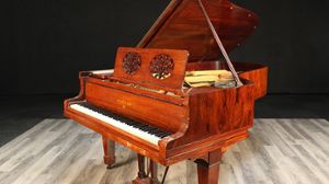 Steinway pianos for sale: 1919 Hamburg Steinway Grand B - $98,000