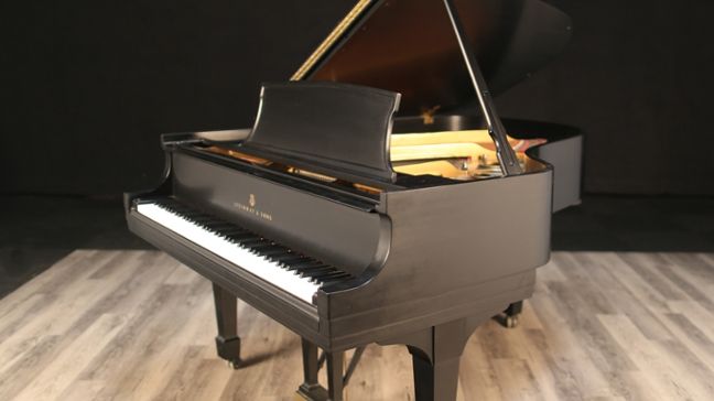 <span>1973</span> Steinway L