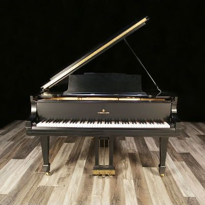 Steinway pianos for sale: 1919 Steinway Grand M - $58,500