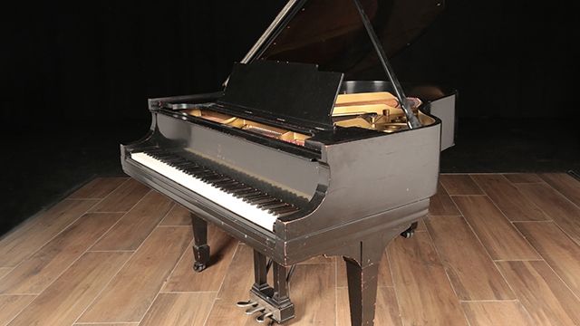 <span>1919</span> Steinway M