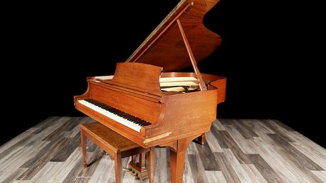 <span>1973</span> Steinway M